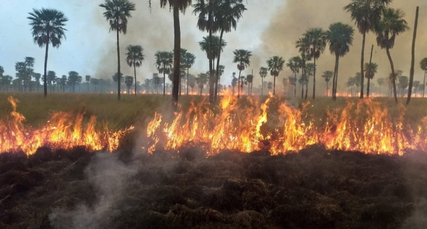Plan Provincial de Manejo del Fuego: Acciones para tomar conciencia de la problemática de los incendios