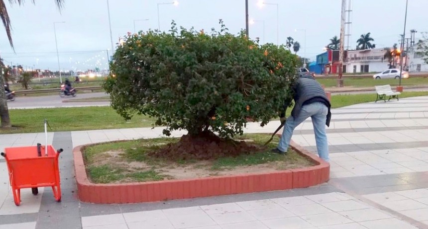 La comuna apuesta permanentemente al mantenimiento de espacios verdes en la ciudad