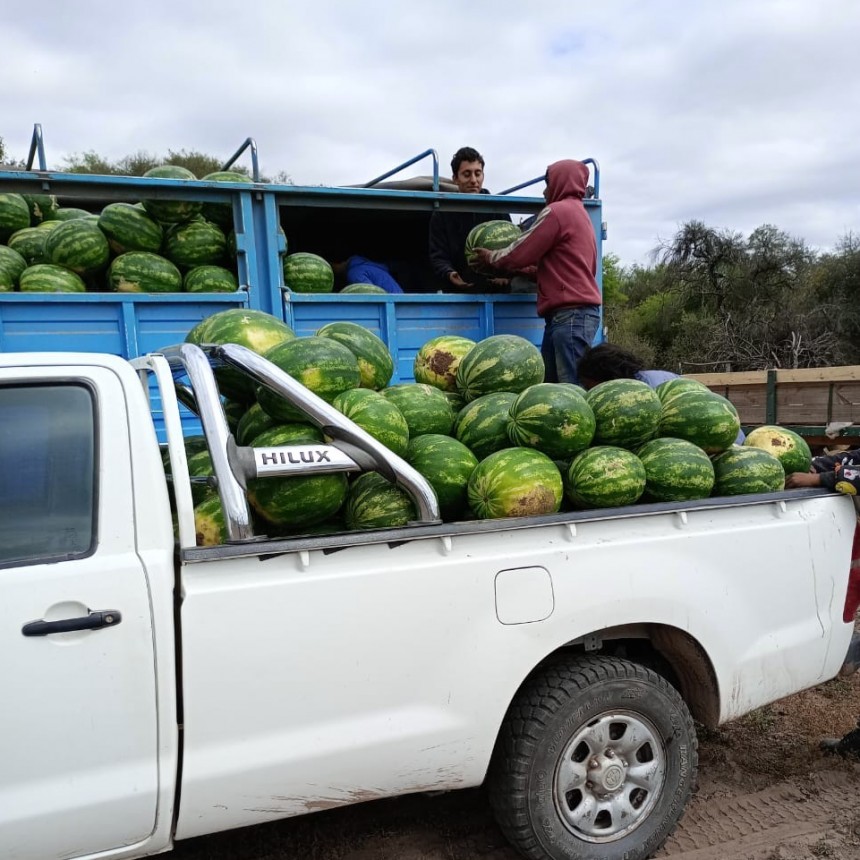 Gran producción de sandías formoseñas llegó al Mercado Central