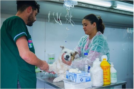 El Castramóvil Municipal desplegó un operativo masivamente concurrido en el B° Itatí
