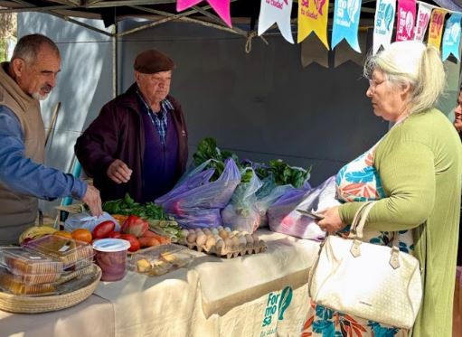 Programa semanal de Bolsones Saludables en la ciudad
