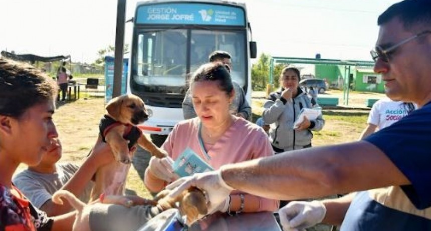 El operativo de castración programado para este martes en el barrio Itatí se pospuso para el jueves, por cuestiones climáticas