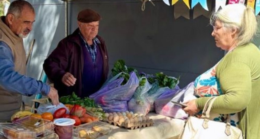 Programa semanal de Bolsones Saludables en la ciudad