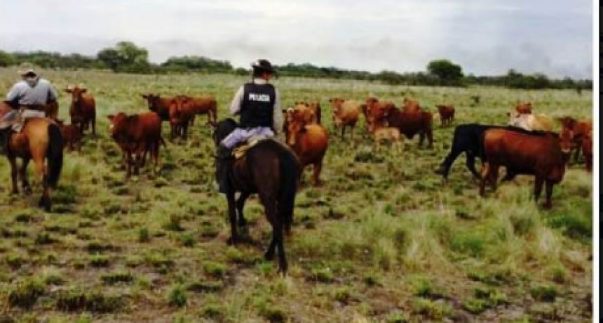 Polic&iacute;as realizaron recorridas en campos ganaderos en prevenci&oacute;n de delitos rurales