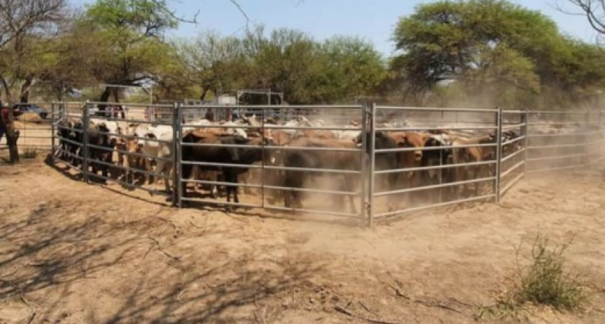 Se realizar&aacute; un remate de productores paipperos en El Chorro