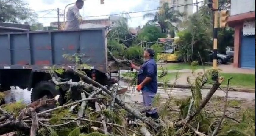 R&aacute;pido accionar de la Municipalidad tras la fuerte tormenta de lluvia y viento