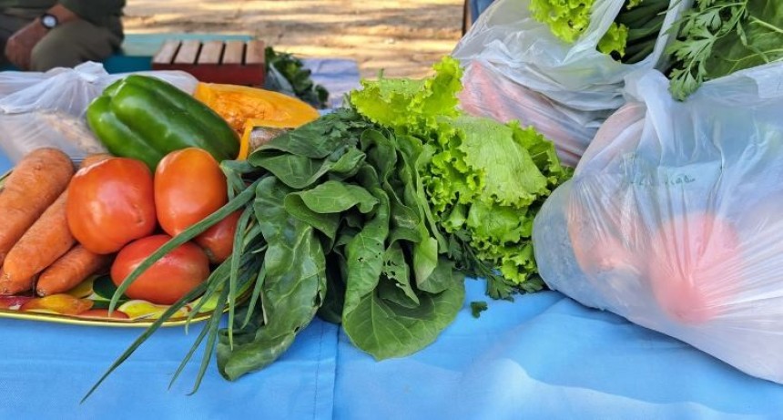 Esta semana vuelven los tradicionales Bolsones Saludables con más puntos de venta