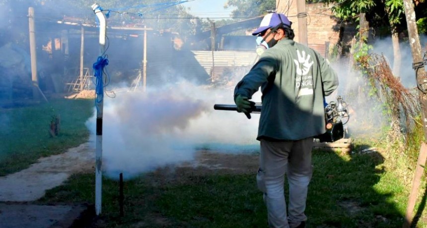Advierten que las brigadas están detectando larvas del mosquito transmisor del dengue en el centro