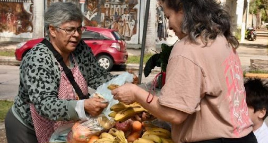 Este martes habrá venta de bolsones saludables en diversos puntos de la ciudad