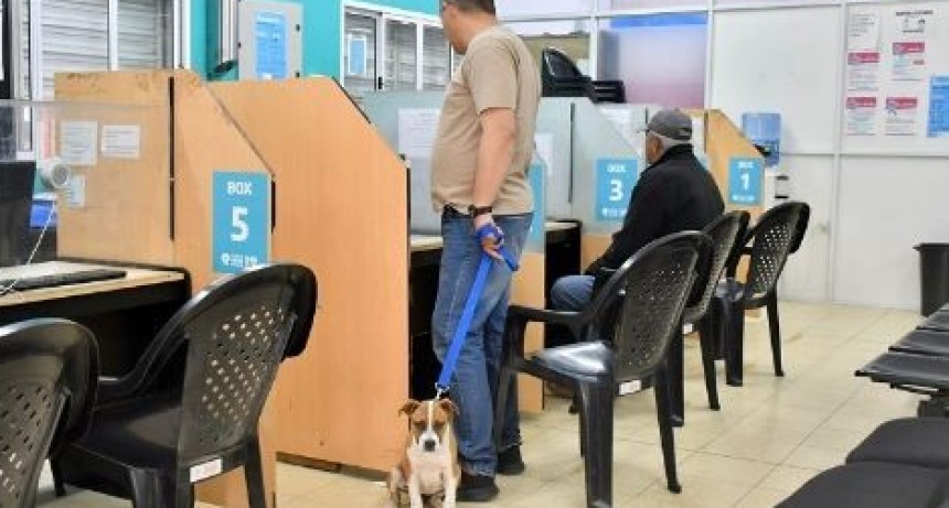 Continúa vigente el plan lanzado por la Municipalidad para ponerse al día con sus tributos municipales