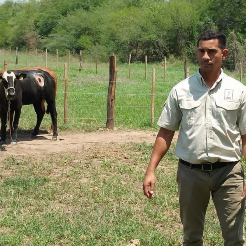 Evaluaron en CEDEVA recursos forestales para la alimentaci&oacute;n del ganado del subtropico del pa&iacute;s