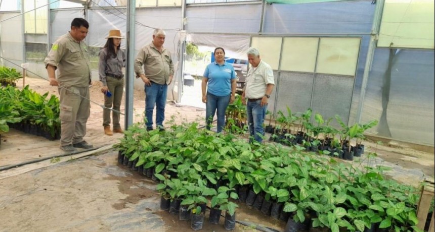 Brindar&aacute;n asistencia t&eacute;cnica para proyectos productivos de frutales