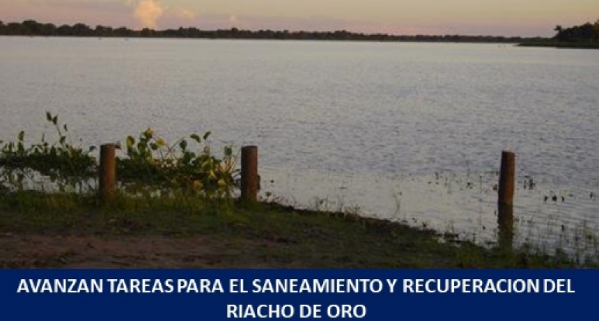 Concretaron tareas de campo para futuros trabajos que prmitan el saneamiento y recuperaci�n del Riacho de Oro