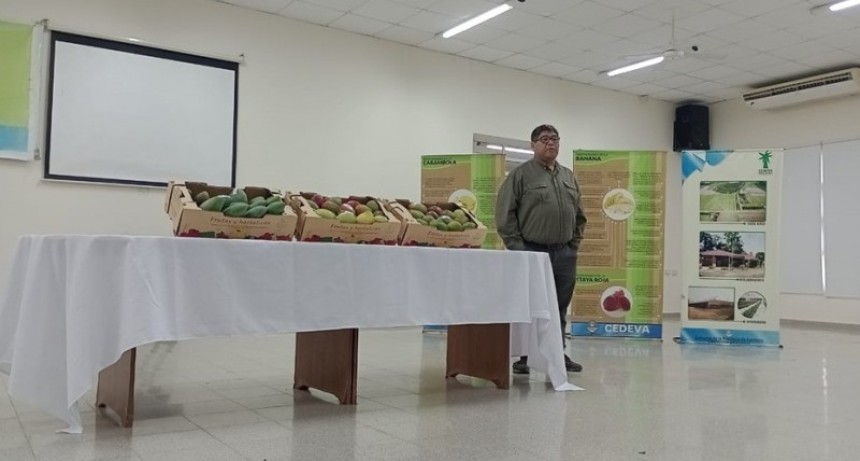 Cultivo de mango en Formosa: El CEDEVA impulsa el manejo eficiente para potenciar la cosecha