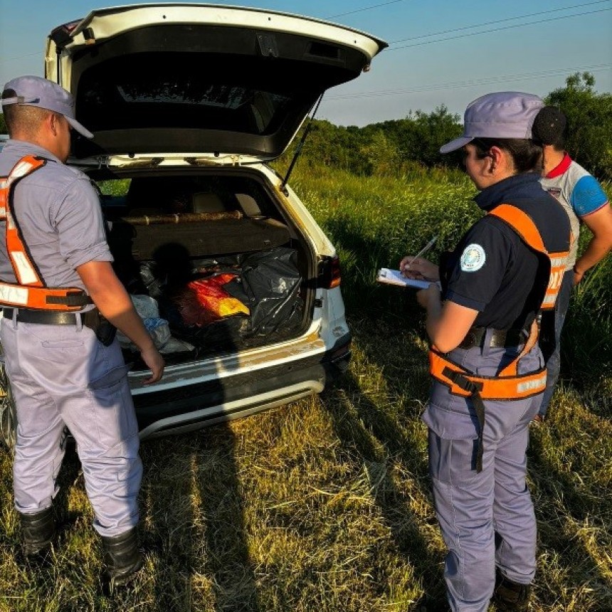 La Policía detectó y secuestró más de 240 kilos de carne vacuna transportada en el baúl de un automóvil