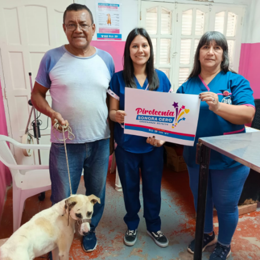 La comuna continúa brindando los servicios de castración y atenciones básicas para propiciar el bienestar de los animales