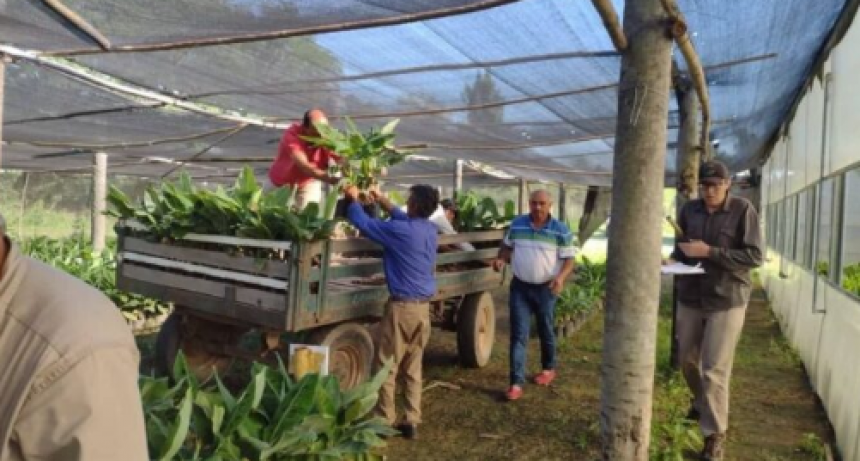 Este s&aacute;bado, Riacho He H&eacute; realizar&aacute; la Feria de Peque&ntilde;os Productores