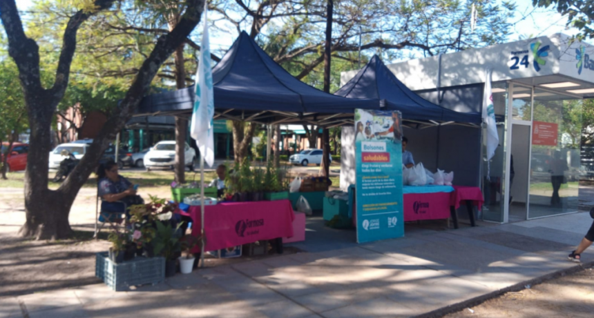 Esta semana habrá bolsones de frutas, verduras y punto saludable