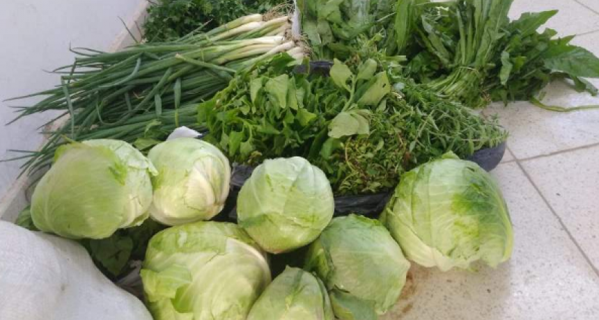 Soberanía Alimentaria: Exitosa jornada de ventas en centros fijos