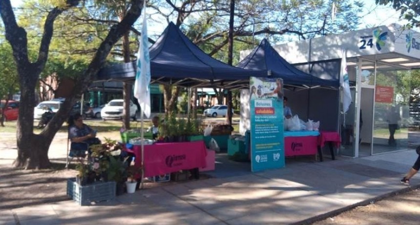 Esta semana habrá bolsones de frutas, verduras y especiales de navidad