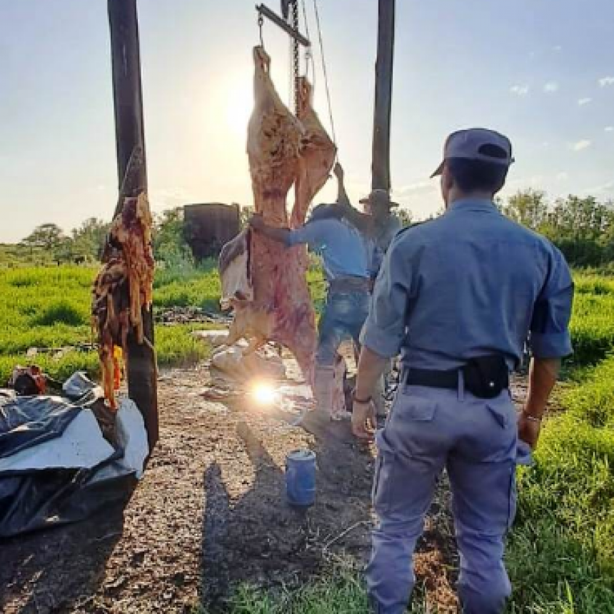 La Policía detectó dos vacas sacrificadas en un campo ganadero