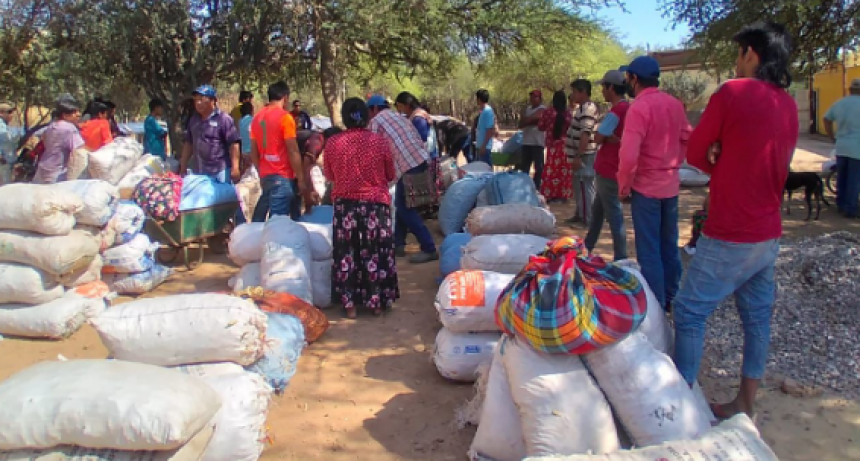 En el oeste formoseño, el Gobierno provincial fomenta la producción de harina de algarroba