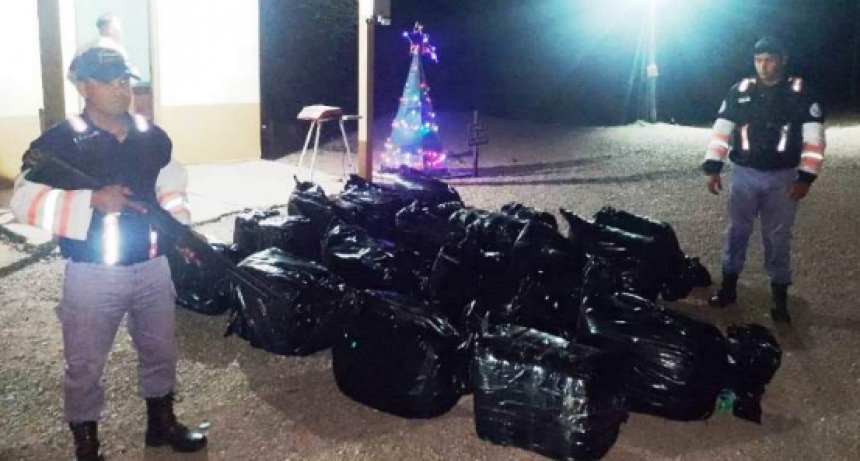 Secuestran más de 350 kilos de hojas de coca valuados en más de 3 millones de pesos