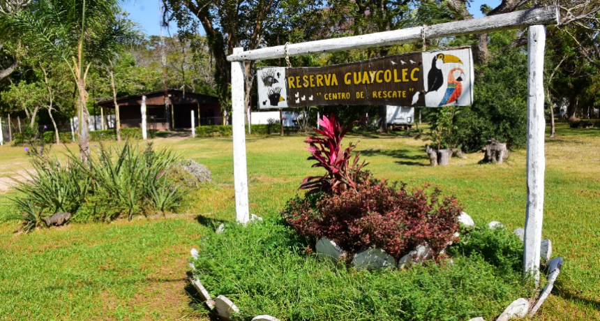 Guaycolec realiza su apertura de temporada de verano En vacaciones abrirá de viernes a domingo.