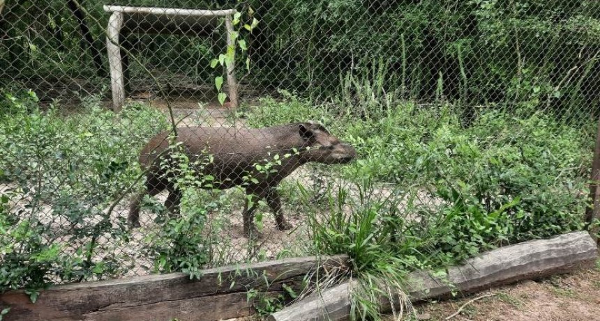 Reserva Guaycolec, una atracci&oacute;n natural en Formosa para los fines de semana