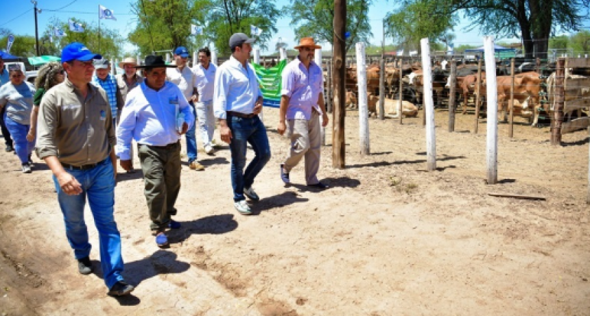El Vicegobernador acompañó la realización de la 2° Feria Ganadera Paippera