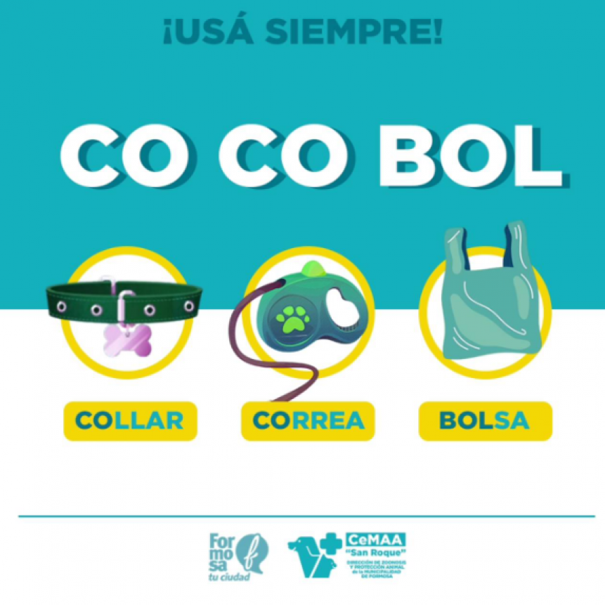 𝗖𝗢 𝗖𝗢 𝗕𝗢𝗟: Collar, Correa y Bolsa. 