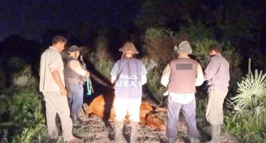 Policías de UEAR enfrentaron a tiros a un grupo de abigeos