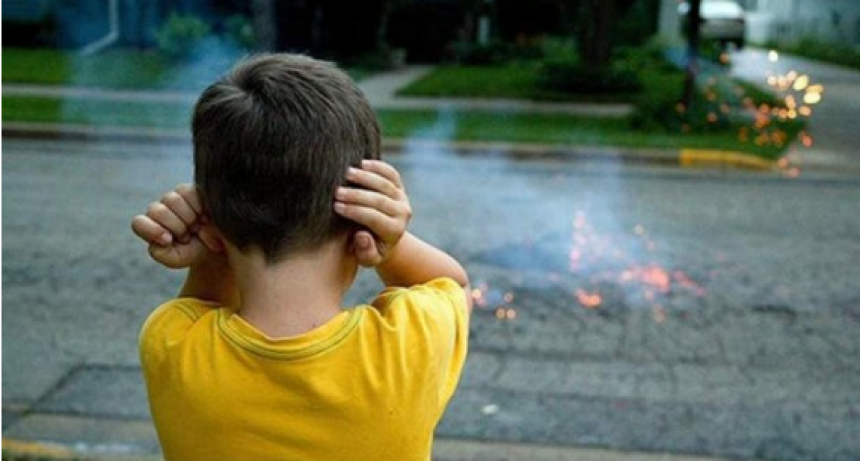 Solicitan a la comunidad respetar Pirotecnia Sonora Cero para proteger la salud de personas vulnerables y mascotas