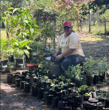 CONTINÚA EL EMBELLECIMIENTO DE ESPACIOS VERDES EN LA CIUDAD